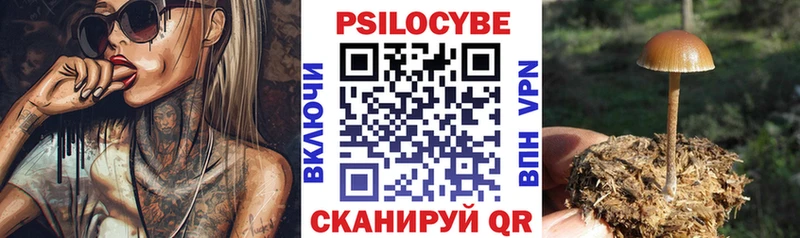 Галлюциногенные грибы Cubensis  Сретенск 